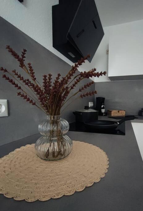 Stylische Altstadtwohnung - Netflix - Smart Tv - Schlafsofa Fuer 3 Personen エアフルト エクステリア 写真